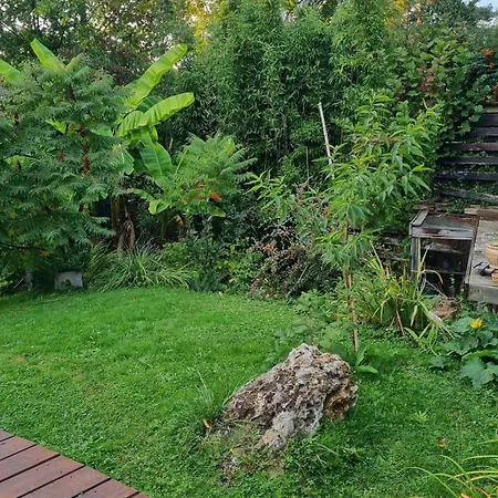 Homestay Belle Maison D'art Verdoyante & Jardin *