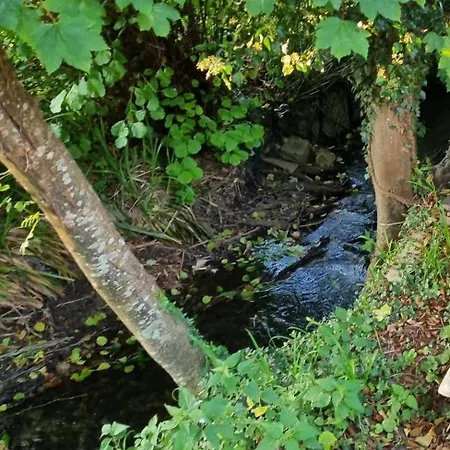 Homestay Belle Maison D'art Verdoyante & Jardin Saint-Remy-les-Chevreuse